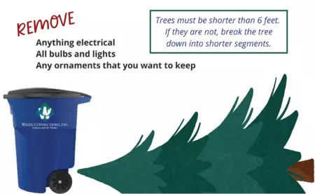 Infographic: Remove anything electrical, all bulbs and lights, and any ornaments that you want to keep from your Christmas tree before leaving it curbside for free pickup by Waste Connections. Trees must be shorter than 6 feet. If they are not, break the tree down into shorter segments. 