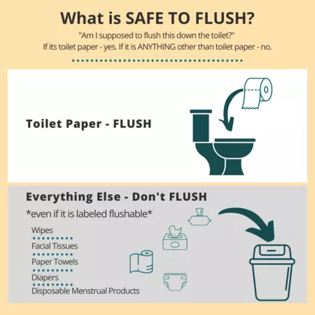 A graphic detailing the thypes of materials that should and should not be flushed down toilets. Only toilet paper should be flushed down a toilet. 