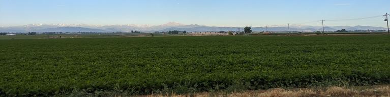 Image of a stretch of farmland in Johnstown, with the Rocky Mountains in the background.