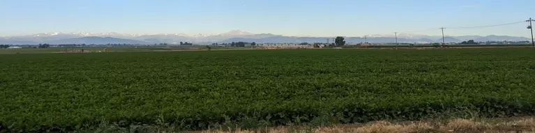 Image of a stretch of farmland in Johnstown, with the Rocky Mountains in the background.