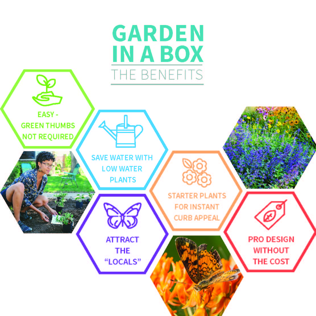 Graphic of the benefits of Garden in a box